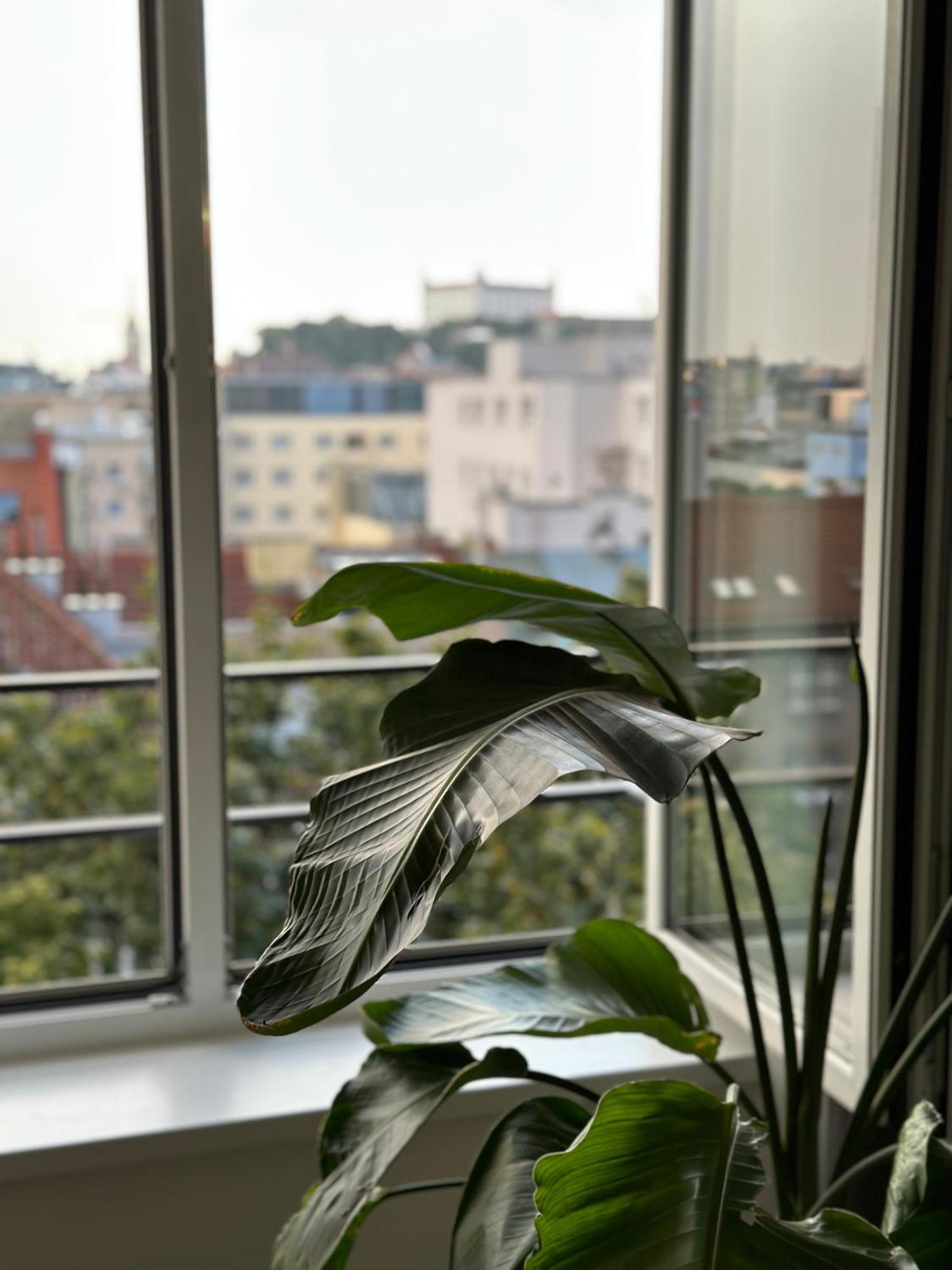 布拉迪斯拉发Urban Zenhouse No.2 - Breakfast Included公寓 外观 照片